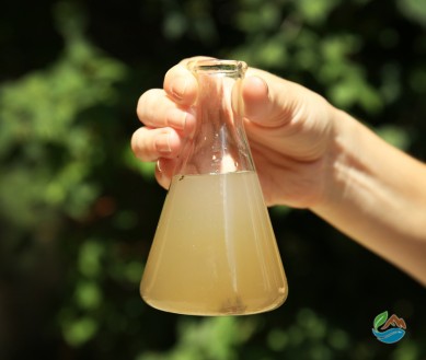 Gestão de Áreas Contaminadas